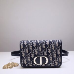 Elementor #31068 Replica Dior 30 Montaigne Pouch