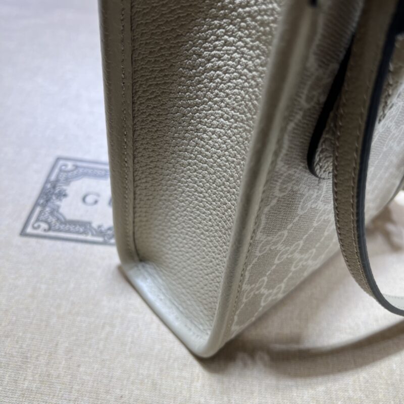 20220426_i1650944164_6962_6 Replica Gucci Ophidia Mini Tote Bag White - Image 7