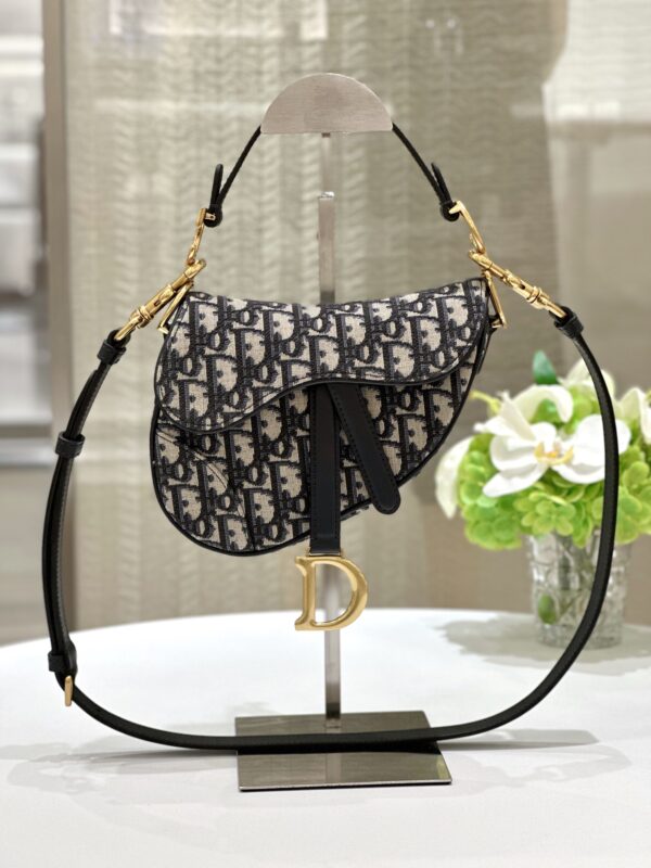 20230709_i1688887231_4869_0 Replica Dior Saddle Bag Small CD Canvas