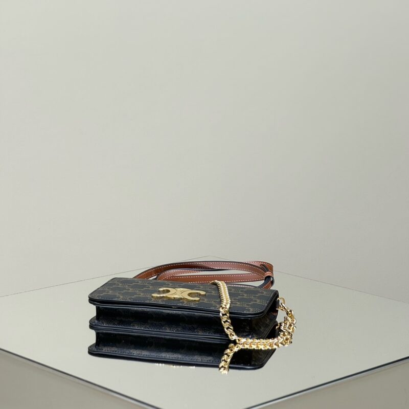 aa4-2 Replica Celine Triomphe Multipochette - Image 4