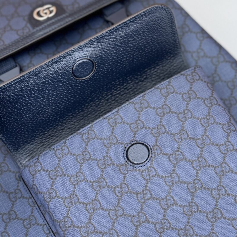 img_102e1c0f_20240618_i1718691417_2990_0 Replica Gucci Large Ophidia Backpack Blue - Image 4